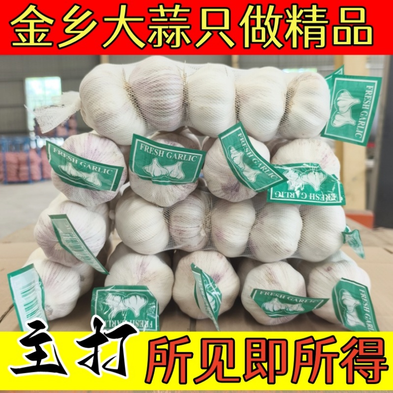 出口级优质大蒜2025山东金乡紫白皮大蒜头干蒜蔬菜批发网兜装当季