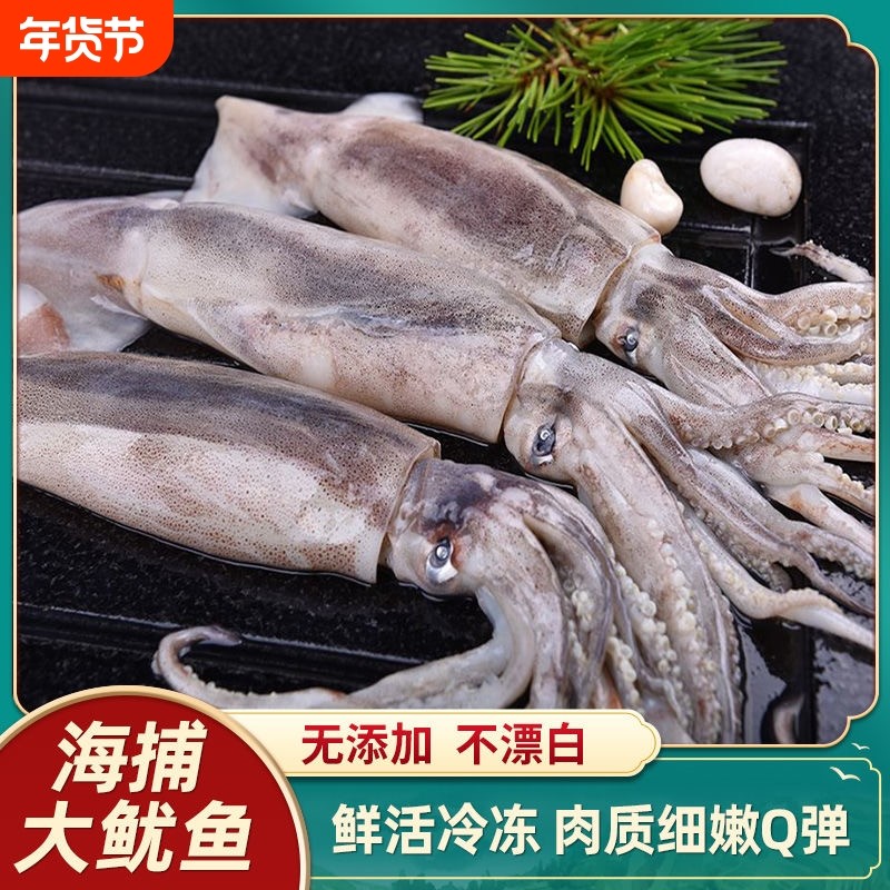 鱿鱼鲜活冷冻批发大鱿鱼整只笔管尤鱼烧烤铁板商用海鲜食品水产,水产肉类/新鲜蔬果/熟食,冷冻鱿鱼,淘宝优惠券,粉丝福利购,淘宝优惠卷