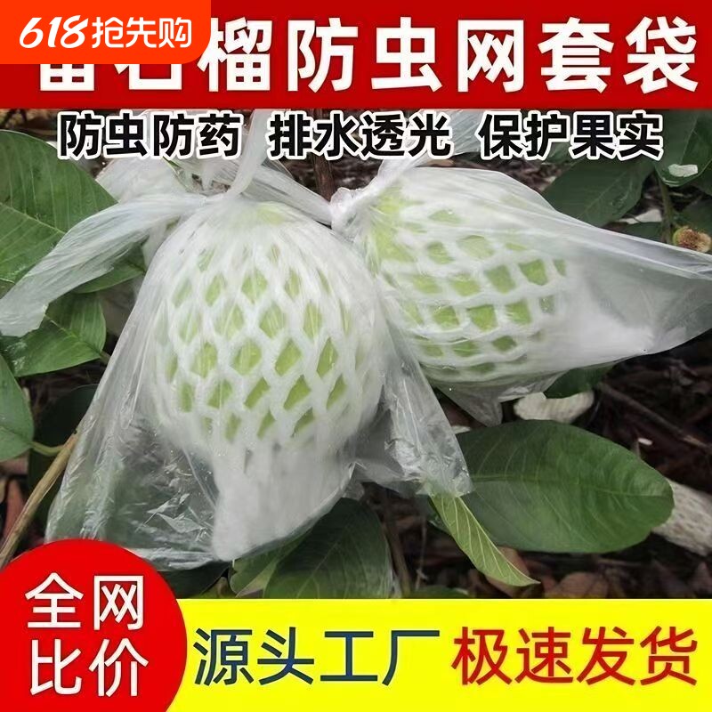 番石榴网套袋水果防虫一体袋芭乐套袋泡沫保护袋胶袋番石榴防虫袋