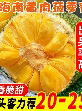 海南黄肉菠萝蜜一整个新鲜水果波罗密干苞包邮红热带大果果肉现摘