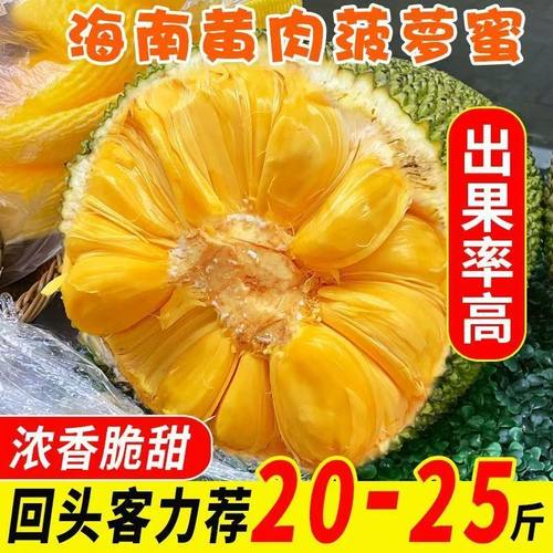 现货海南三亚黄肉菠萝蜜当季新鲜水果批发包邮