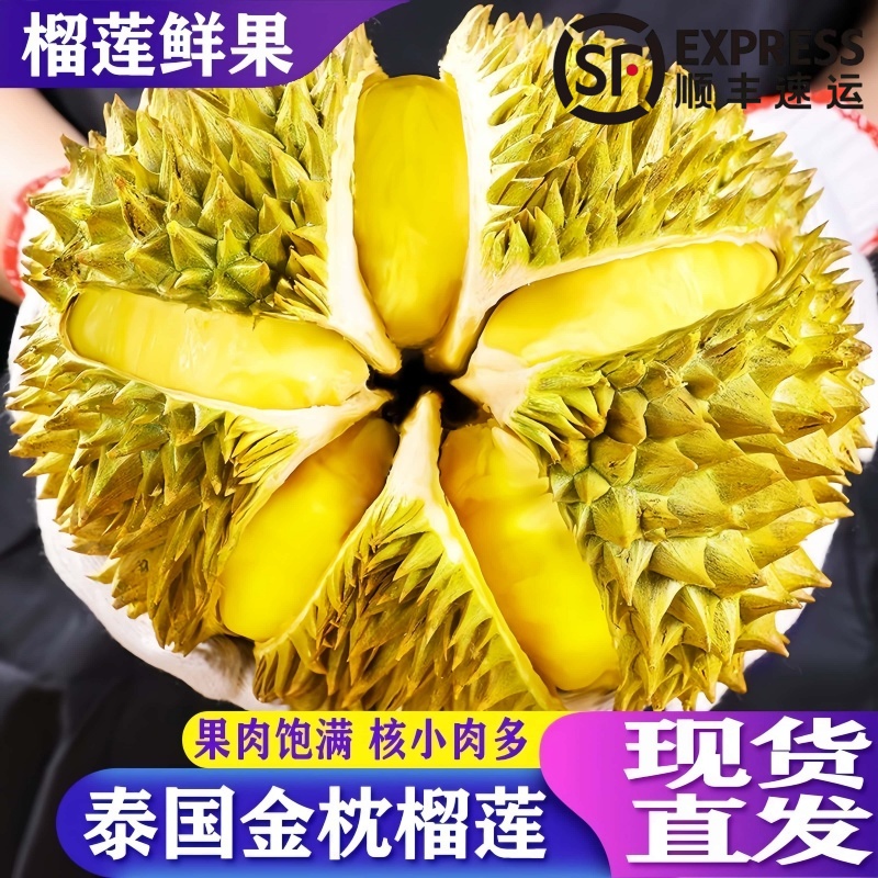 泰国金枕榴莲带壳现摘新鲜榴莲果肉细腻酥软树上熟榴莲批发