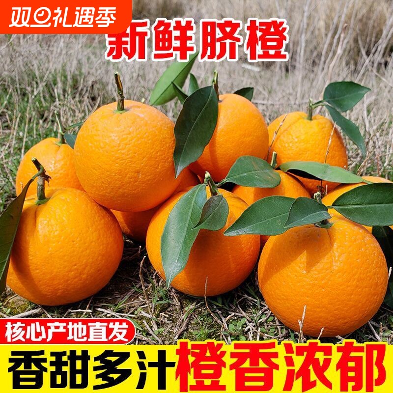 当季新鲜橙子时令水果新鲜酸甜多汁现摘手剥橙湖北特产纽荷尔脐橙