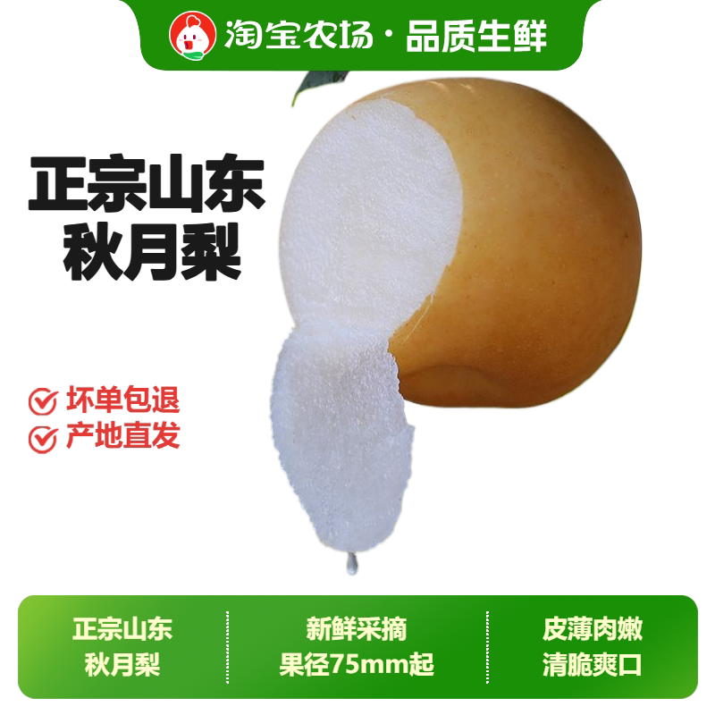 山东秋月梨正宗新鲜冰糖梨子甜现摘当季水果整箱包邮送礼水果农场