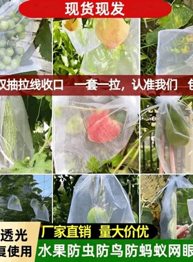 水果套袋防虫网袋防鸟桃子西红柿