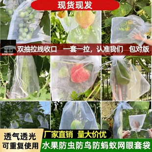 水果套袋防虫网袋防鸟桃子包专用保护袋子葡萄西瓜果树南瓜香瓜