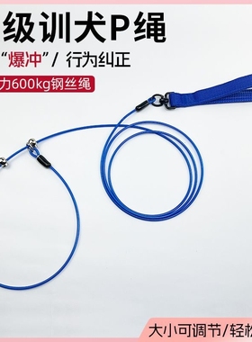 狗狗p绳中型犬遛狗绳牵引绳防爆冲小型犬训练专用p链大型犬狗链子