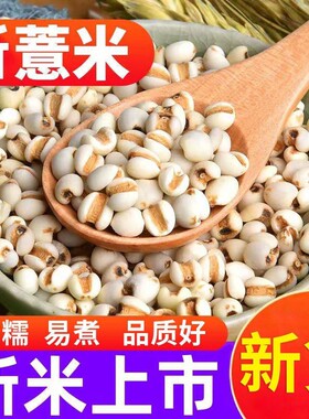 新货大薏米祛湿正宗薏仁薏米煲汤甜品五谷杂粮薏仁米农家新米优选