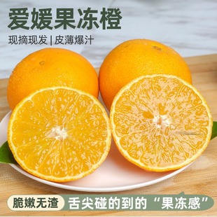 正宗四川眉山爱媛38号果冻橙新鲜水果孕妇可食应当季水果橙子批发