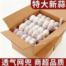 网兜条蒜2025年新干蒜河南大蒜商超品质大蒜