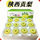 2025年陕西小河酥梨现摘整箱产地直发爆甜农家水果 包邮