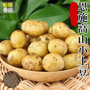 恩施小土豆10斤 农家正宗新鲜洋芋迷你黄心湖北马铃薯蔬菜整箱 包邮