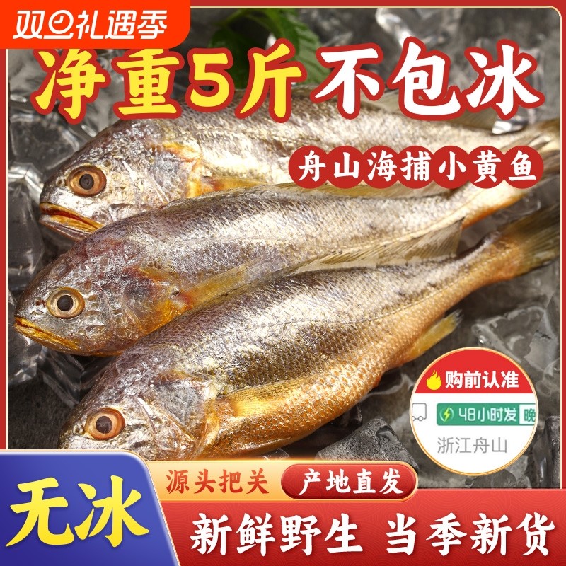 舟山小黄鱼深海捕捞海鱼黄花鱼生鲜海鲜水产新鲜冷冻烧烤5斤鲜活
