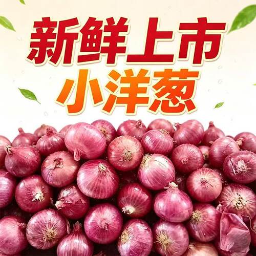 珍珠小洋葱红葱头圆葱2026新葱头农家自种迷你小葱头直发紫皮脆甜