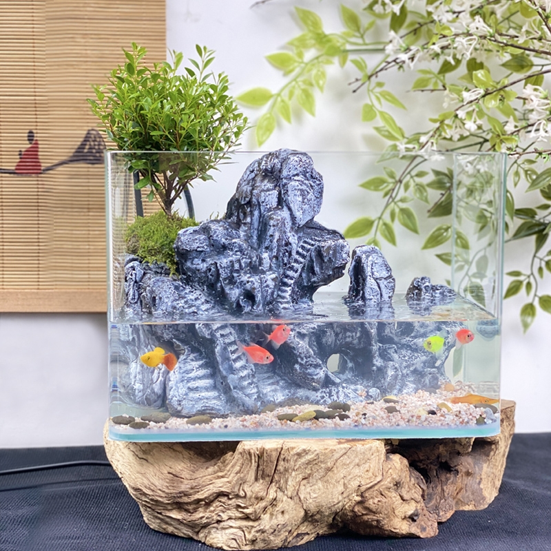 水陆缸成品全套苔藓微景观懒人办公桌真绿植造景生态鱼缸流水