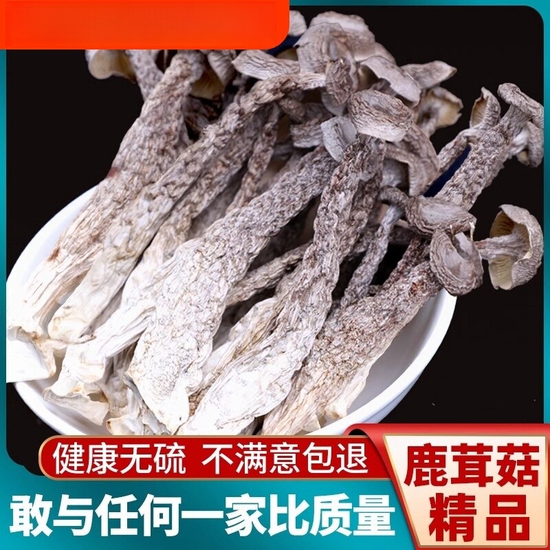 鹿茸菇干货500g鹿茸菌包邮新鲜煲汤古田菇干香菇净重精选食用美味