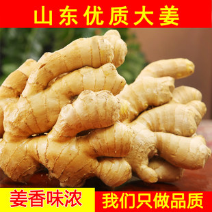 山东大姜优质生姜老姜月子姜风干姜现挖鲜姜新鲜老黄姜无残留