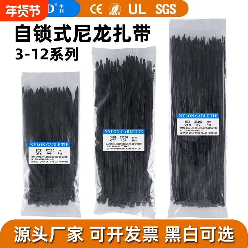 尼龙扎带3*4*5*8*10*12系列多规格塑料扎带绑扎带100条装厂家直销