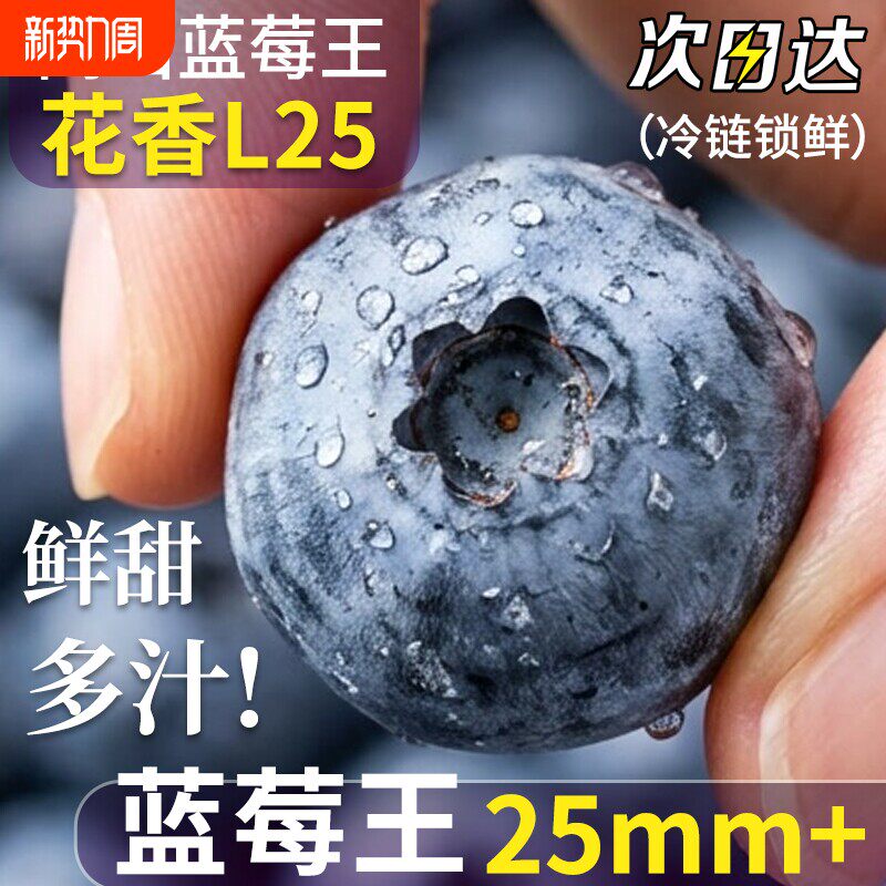 丹东大蓝莓花香新鲜超大25云L南鲜果大果怡颗礼盒装当季现摘自提