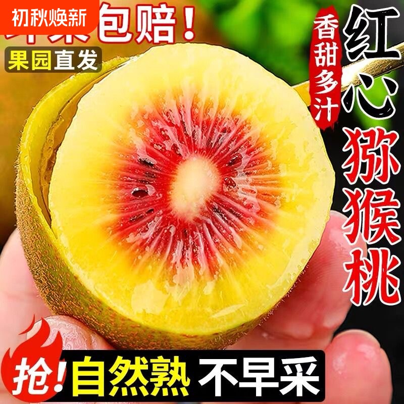 产地直发四川红心猕猴桃奇异果时令新鲜当季孕妇甜水果整箱包邮