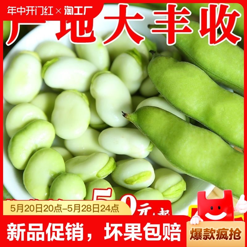 新鲜现挖现发蚕豆头茬带壳蚕豆