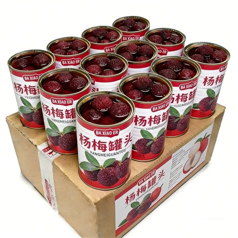新鲜杨梅罐头450g新日期现摘现货水果罐头商用整箱鲜果原材料果肉