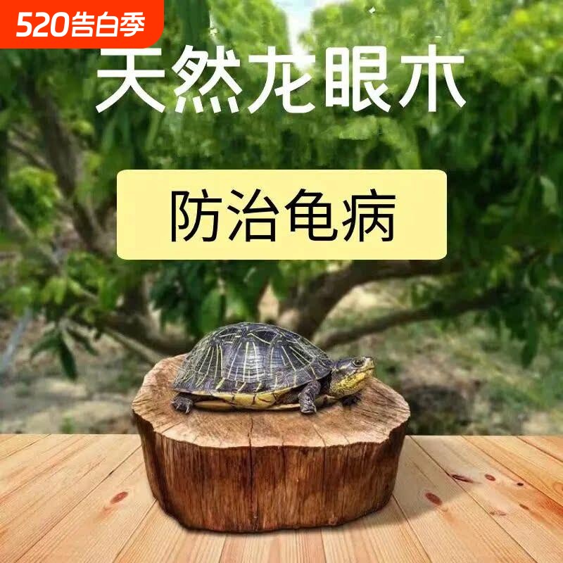 乌龟晒背台龙眼木爬台高水位天然防腐烂甲造景摆件龟缸装饰沉木