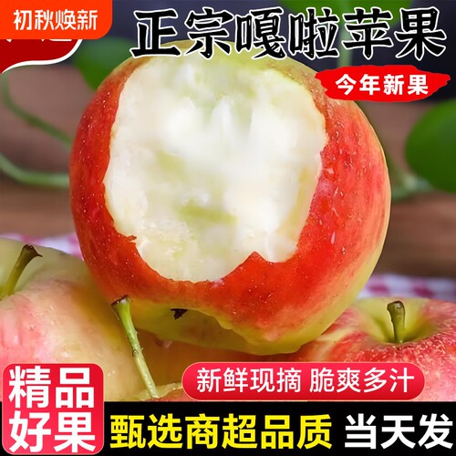 【当季鲜果】鲜嫩多汁现摘现发