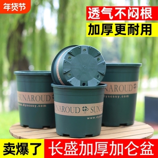 加大加厚高款树脂塑料加仑盆耐晒耐摔升级控根不闷根透气种植花盆