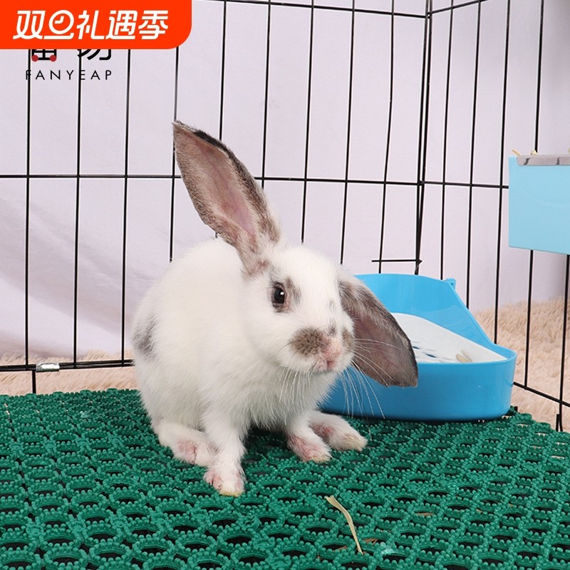 兔子脚垫A1vn800-宠物可裁剪垫脚板笼子踏板咬拼接可弯曲塑