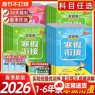 新实验班寒假衔接一年级二年级三四五六年级上册下册语文数学英语全套人教苏教北师大版练习册小学生同步寒假作业提优训练预复习