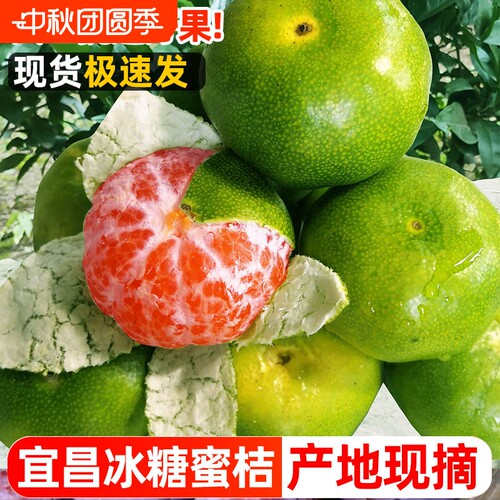 宜昌蜜桔特早熟蜜橘桔子新鲜水果9斤当季5青皮桔无籽孕妇整箱