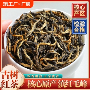 古树滇红红茶2024新茶正宗高山古树红茶花香浓香型罐装茶叶自己喝