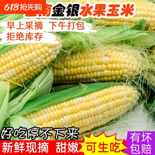 新鲜甜玉米棒水果玉米云南双色新鲜蔬菜当季农家带皮带壳带玉米须