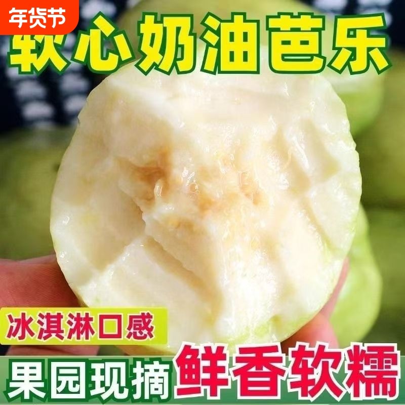 福建软糯软心芭乐5斤水果漳州当季奶油软白番石榴应季新鲜巴乐果,水产肉类/新鲜蔬果/熟食,番石榴/芭乐,淘宝优惠券,粉丝福利购,淘宝优惠卷