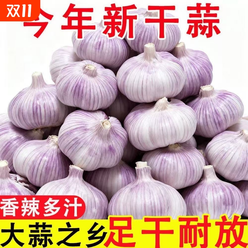 【特大干蒜】山东紫皮大蒜头新干蒜大蒜大蒜头批发整箱新鲜大蒜头
