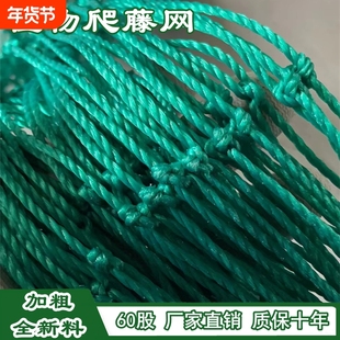 爬藤网植物瓜果丝瓜苦瓜吊瓜葡萄瓜蒌豆角百香果攀爬网种植固定