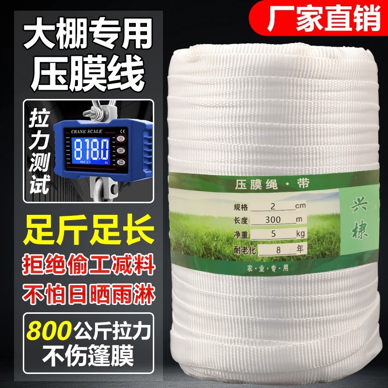 温室大棚防风绳压膜绳压膜带配件加厚高强度涤纶丝耐磨白色防脱膜