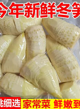 竹笋冬笋新鲜2025新鲜野生竹笋水煮笋春笋清水笋楠竹笋蔬菜火锅