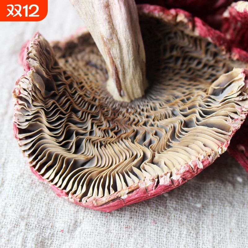 正宗开伞大红菇福建武夷山野生干货新鲜红姑红椎菌滋补特产500g
