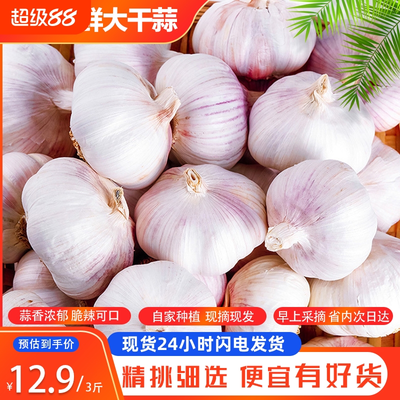 山东大蒜农家干蒜头新鲜紫皮大蒜5斤当季蔬菜蒜瓣3斤特价促销种植