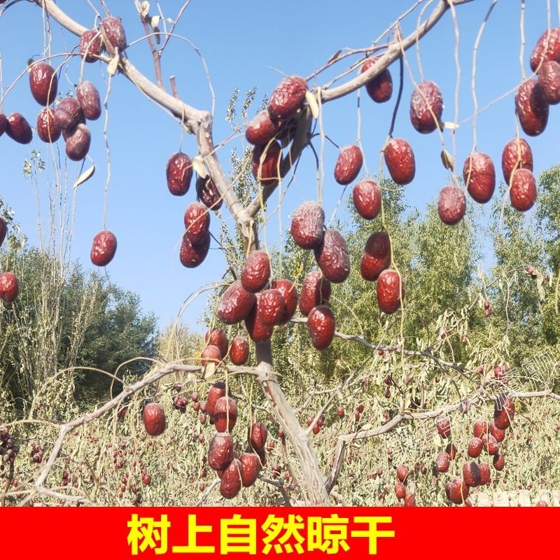红枣吊干土枣红枣新疆和田土枣非若羌红枣灰枣特产吊干枣未清洗