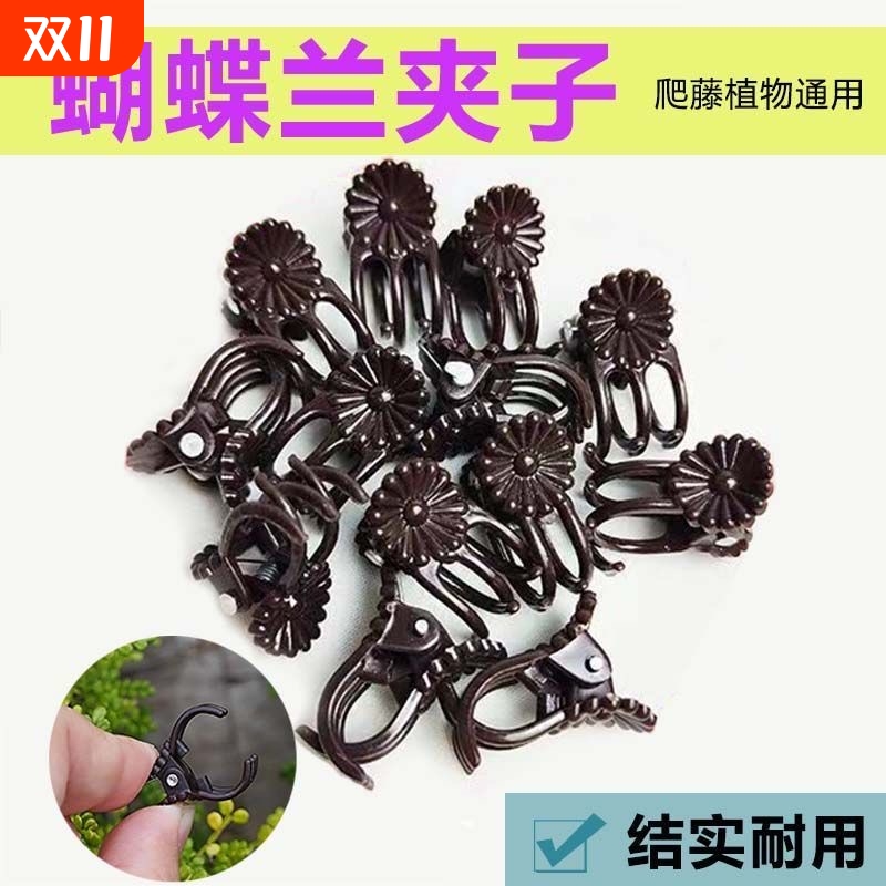 蝴蝶兰花夹花卉绿植固定夹爬藤固定塑料夹子专用爬藤花卉夹支撑杆