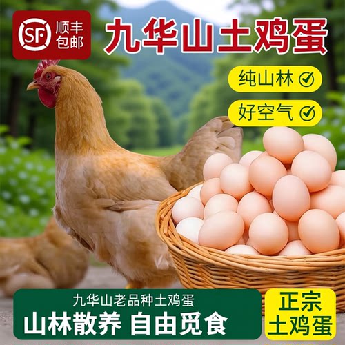 九华山农家散养土鸡蛋新鲜皖南