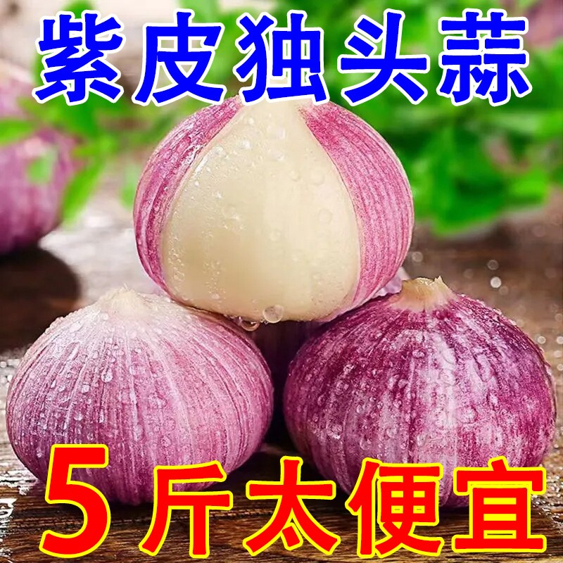 正宗云南新鲜紫皮独头蒜农家蔬菜独蒜大蒜头紫皮蒜非干蒜2026整箱