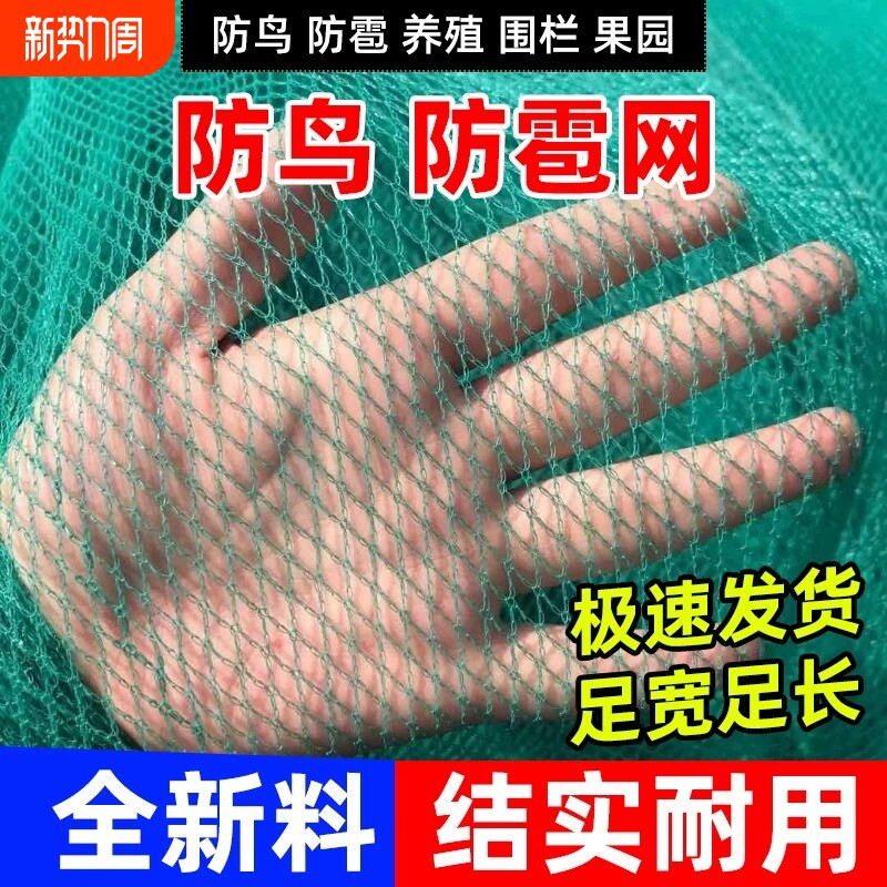 围网小网孔无结网养鸡网防鸟网养殖网尼龙网果树网冰雹网渔网