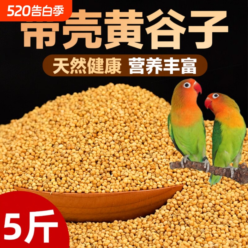 鹦鹉饲料鸟粮新黄谷子带壳小米虎皮鹦鹉饲料玄凤牡丹专用鸟食粮食