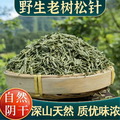 长白山野生松针茶特级马尾松针官方旗舰店正品当季新货中药材功效
