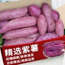 正宗紫薯沙地紫罗兰番薯农家现挖自种糖心蜜薯代餐现挖美味紫薯