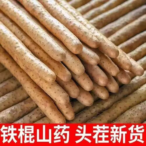 正宗铁棍山药新鲜小白嘴麻山药铁杆淮山3斤5斤粉糯现挖现卖批发